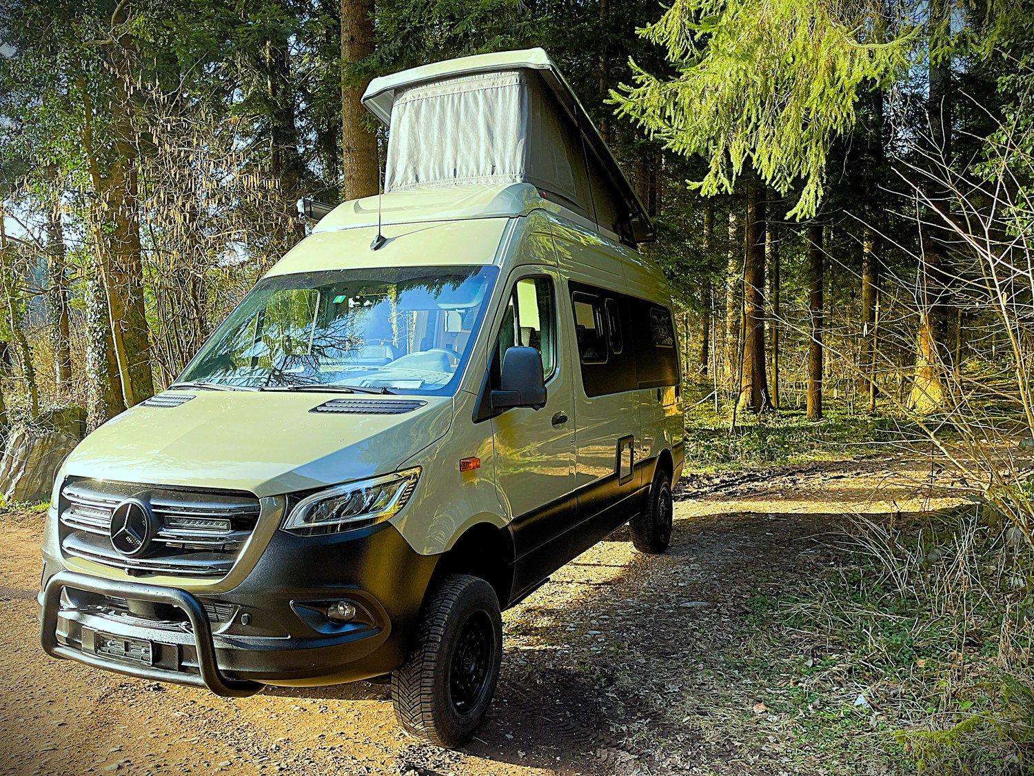 Sprinter in Grün, Mercedes Sprinter, Aussenansicht mit geöffnetem Schlafdach am Waldrand
