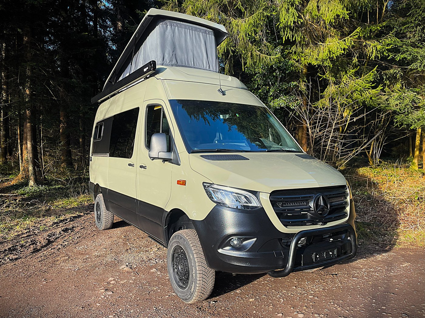 Sprinter in Grün, Mercedes Sprinter, Aussenansicht im Wald mit aufgeklapptem Schlafdach
